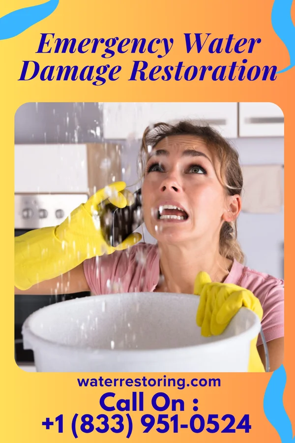 Emergency Water Damage Restoration in La Clede, IL